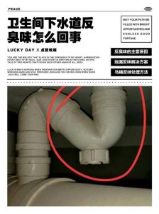卫生间反味最简单方法_卫生间反味快速解决与预防妙招