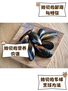 深海贻贝和江瑶贝的区别_江瑶贝挑选处理做法分享