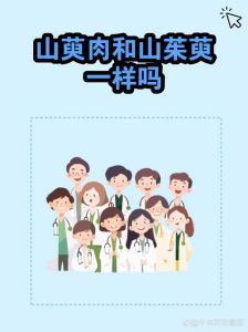 山茱萸和山萸肉区别_补肝肾，选对才安心