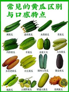 小乳瓜和黄瓜有什么区别_小乳瓜黄瓜怎么分辨？