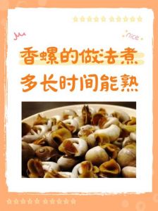 大螺要水煮多少分钟才熟_大海螺挑选烹饪技巧