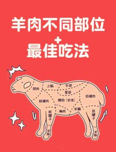 羊各个部位肉的分类_脖肉馅炖，排肉烤，上脑涮烤，肋排多样，腩肉焖，里脊炒，腱子酱卤