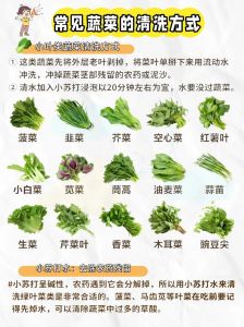 十大不用焯水的蔬菜_五种蔬菜不焯水口感好营养高