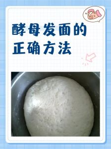 发面最快最简单的方法_速效好口感，看这几点！