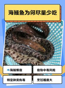 鳗鲡与海鳗的区别_海鳗与鳗鲡有何不同？