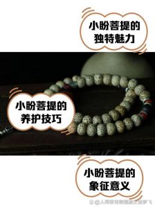 菩提果什么时候成熟_夏末成熟，可鲜至春，象征智慧吉祥，全年供应