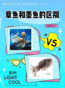 八爪鱼与墨鱼的区别_章鱼墨鱼鱿鱼区别大不同