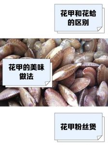 花甲是不是叫海瓜子_花甲与海瓜子区别及各地做法