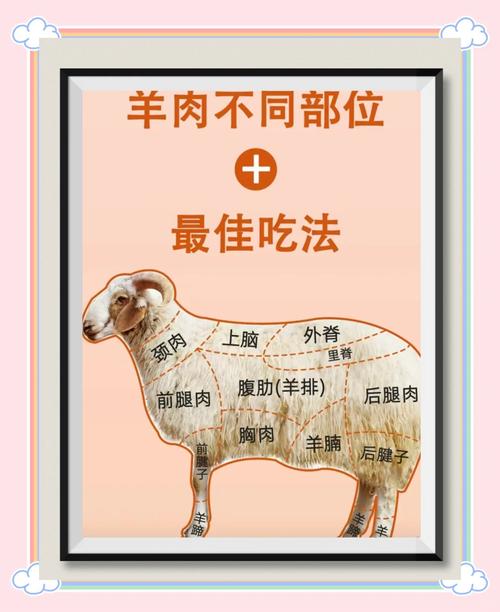 山羊体表部位各部分名称_角耳眼鼻灵,跳跃善反刍 山羊体表部位各部分名称_角耳眼鼻灵,跳跃善反刍