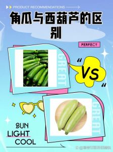 角瓜和西葫芦的区别_角瓜西葫芦有啥区别？