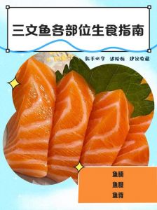 三文鱼鱼腩和鱼腹的区别_三文鱼腩腹口感差异，煎煮生食有别