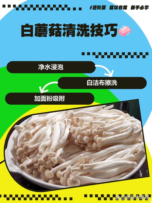 鲜蘑菇用不用焯水_蘑菇是否焯水？凉拌生吃要焯，炒吃看情况