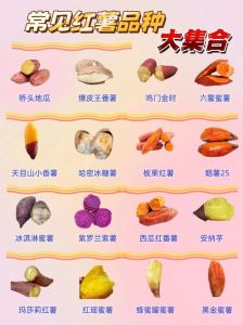 蜜薯一般蒸多久_蒸红薯多久熟？块大时间要长，预处理很重要！