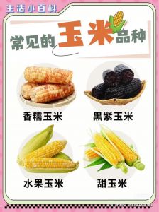 玉米怎么挑选_挑玉米看颜色不行！摸紧实闻香甜，新鲜挑法