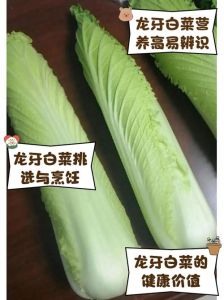 奶白菜和小白菜的区别_外观口感营养大不同