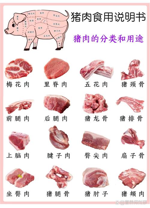 上下五花肉的区别图_上五花炖煮,下五花炒烤 上下五花肉的区别图_上五花炖煮,下五花炒烤
