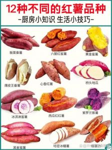 红薯地瓜番薯的区别_红薯和地瓜有啥区别？