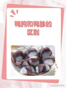 鸡肾和鸡胗有什么区别_鸡肾鸡胗营养多，适合炖炒炸爆卤