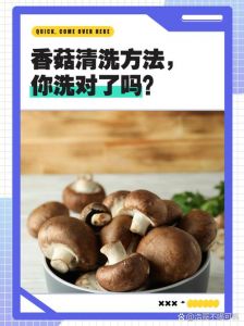 湿香菇温水泡泡还用焯水吗_温水优于焯水，营养鲜味更保留