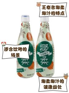 椰汁能代替椰浆吗_椰汁椰浆怎么选？口感营养看这里！