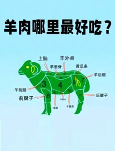 羊排是哪个部位_肉质紧实多汁，烤炖风味佳