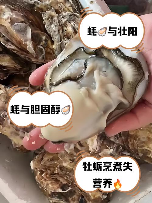 生蚝，牡蛎，海蛎子的区别_生蚝牡蛎海蛎子一样吗？区别与吃法