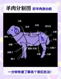 整羊分割详细图解_羊肉缓化排酸分割技巧