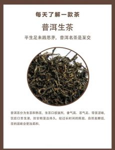 生普洱是属于什么茶_发酵陈香，越陈越醇！