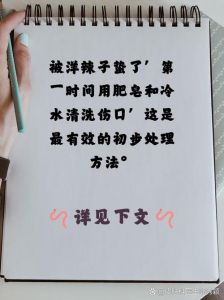 被洋辣子蛰了怎么处理_洋辣子蛰伤用胶带刮除，碱水洗，冷敷缓解