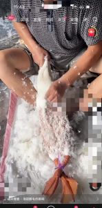 大鹅怎么处理绒毛_浸水蜡拔黄酒处理