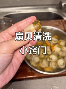冷冻扇贝肉的处理方法_冷水慢解冻，清洗去腥，蒸煎扇贝肉鲜嫩