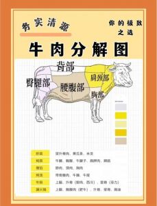 牛肉部位肉详细分解图吊龙_炒涮烤全知道！