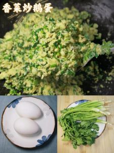 香菜炒鸡蛋需要焯水吗_香菜炒鸡蛋，简单又香脆！