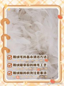 鹅的毛怎么处理干净_鹅毛处理方法很重要