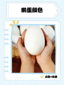鹅蛋和雁蛋能看出来区别吗_大小颜色口感大不同
