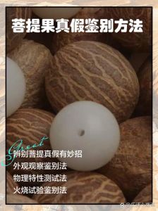 菩提果怎么挑选_看品种品相质地与盘玩潜力