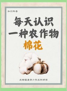 棉花是怎么从南方传到北方的_棉花丝路史，经济文化交融