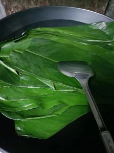 煮粽子叶最正确的方法_小苏打煮，冷冻解，口感香软