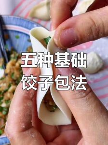 包饺子最简单的包法_免捏水饺法，调馅加汁，简单美味，饺子做法分享