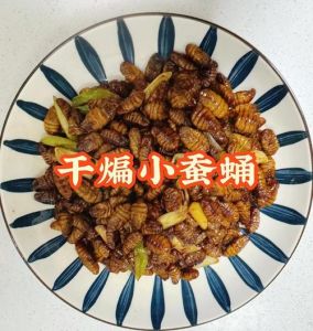 干瘪蚕蛹的家常做法_东北干煸蚕蛹，香脆营养！