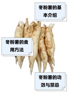 冬粉薯粉的家常做法_家常冬粉薯做法，爽滑营养，做法详解