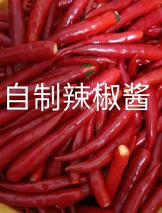 制新鲜辣椒酱作方法_辣椒酱发酵秘诀，风味独特做法分享
