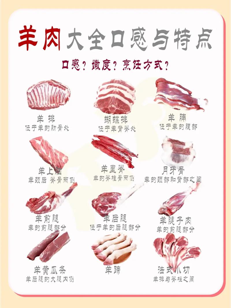炖熟的羊肉有哪些做法_红烧孜然泡馍手抓饭,总有一款适合你! 炖熟的羊肉有哪些做法_红烧孜然泡馍手抓饭,总有一款适合你!