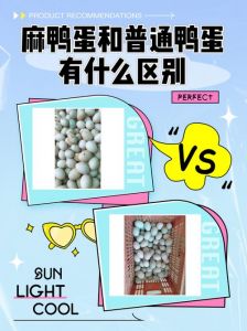 麻鸭蛋和普通鸭蛋有什么区别_红壳硬壳，营养高，能久存
