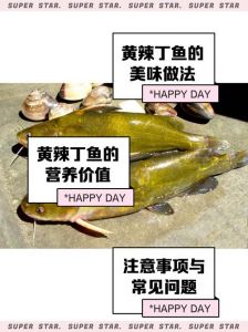 冷锅黄辣丁鱼的做法_煎炖麻辣鲜香，简单又美味！