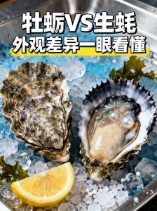 生蚝跟海蛎有什么区别_生蚝和海蛎有啥区别？