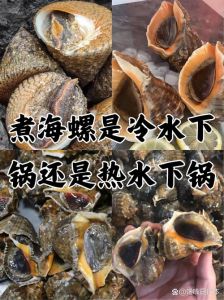 煮海螺冷水下锅几分钟_冷水煮海螺更鲜嫩，时间看大小
