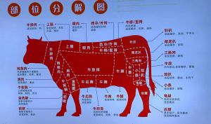 牛肉部位分割图及做法_选对部位做对菜