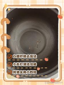 电煮锅煮糊了怎么处理_简单有效防粘锅小妙招