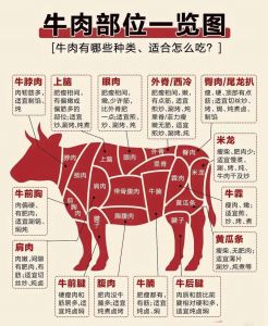 牛身上哪个部位最贵_牛柳上脑里脊，各部位牛肉特点和做法